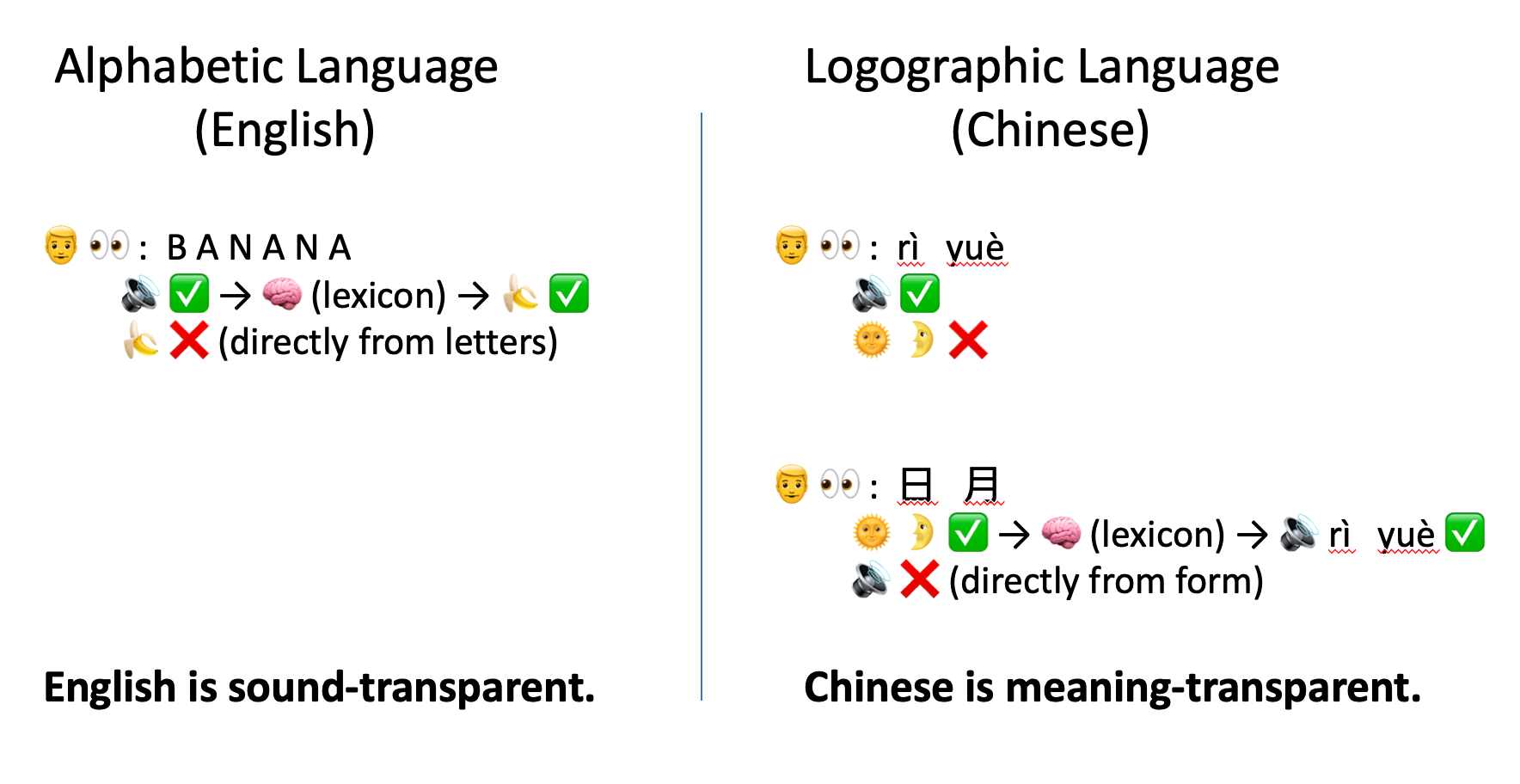 MetaChinese Institute diagram comparing phonetic encoding (English) with meaning-transparent encoding (Chinese characters 日 and 月)